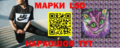 Альфа ПВП Можга
