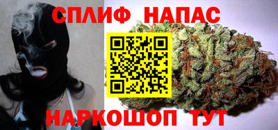 гидра Моздок