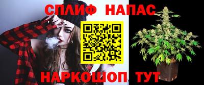 Альфа ПВП Можга