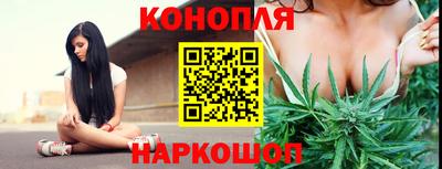 Альфа ПВП Можга