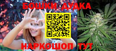 гидра Моздок